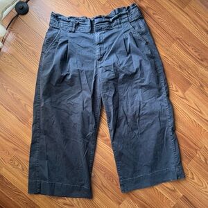 American Eagle Paperbag Waist Wide Leg Cropped Pants Size 14